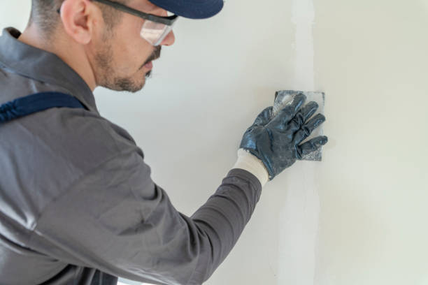 Best Trim and Molding Painting  in Darrington, WA